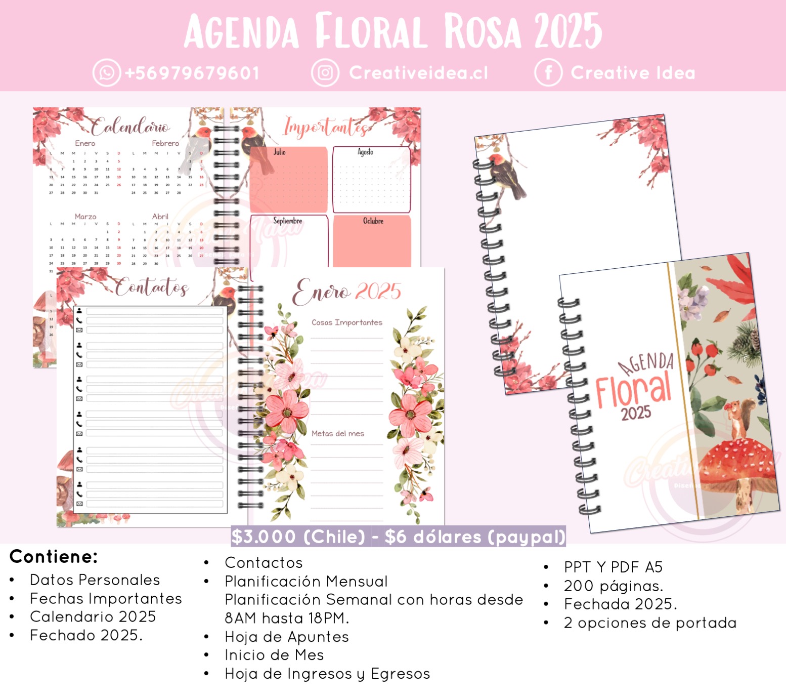 Floral Rosa 2025 - Creative Idea